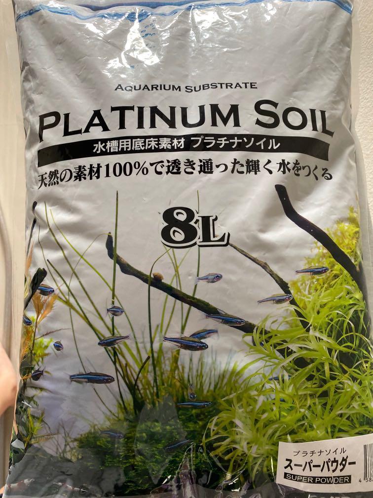 8l Jun Platinum Soil Pet Supplies Homes Other Pet Accessories On Carousell