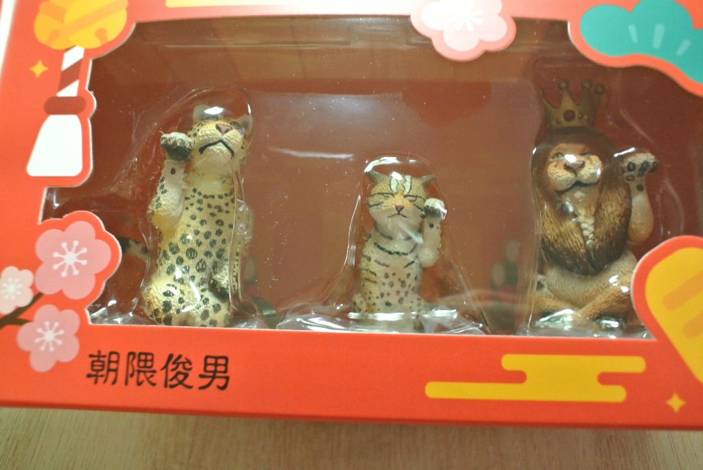 朝隈俊男野生大貓 玩具 遊戲類 玩具 Carousell