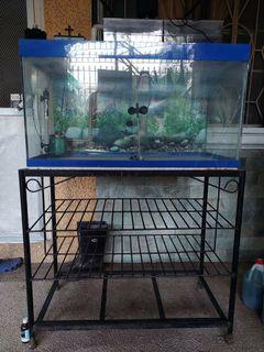 Aquarium set 50 gal