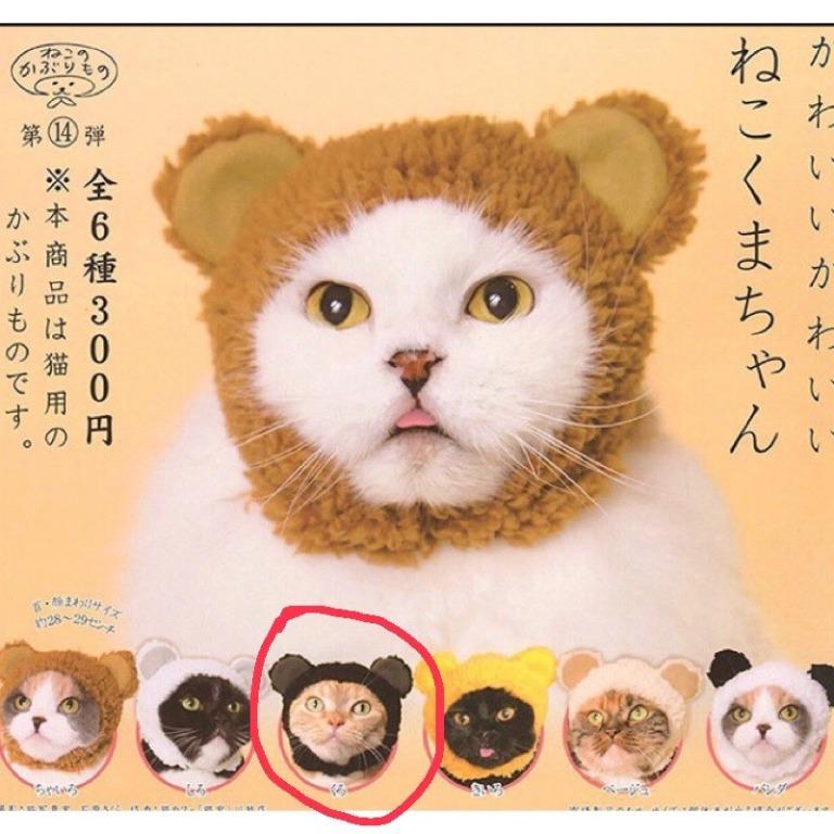 Cat hat bear hat for cats kawaii neko kuma chan gacha club hats gatcha