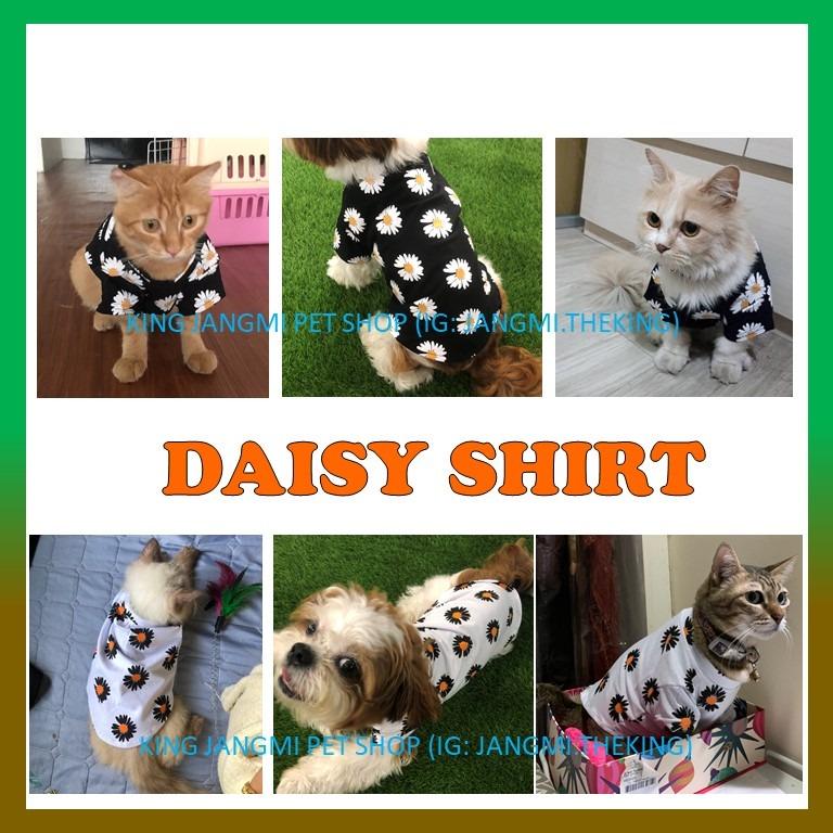 DAISY - Dog Cat clothes fashion - kucing baju comel shirt cute 