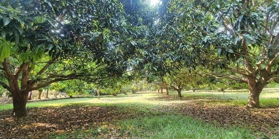 (Category: ) located in . Submitted by bodeganigel (Listing ID 1091468429, Image 1). Description: .