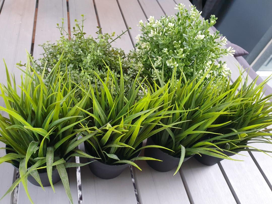 IKEA fake plants (6 pcs), Furniture & Home Living, Home Decor