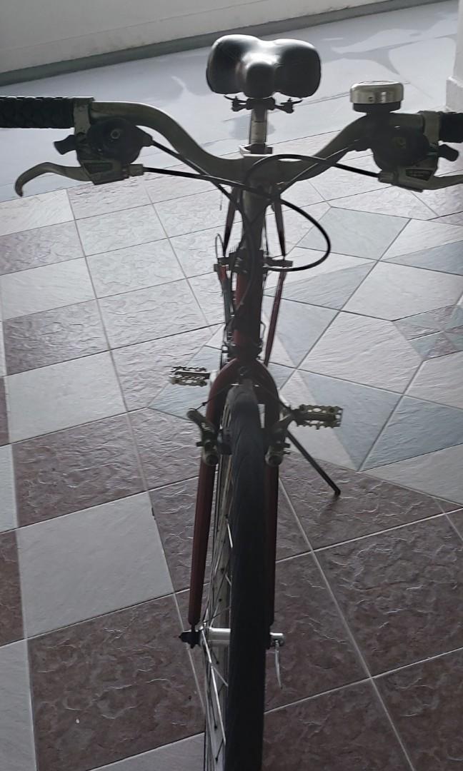 Raleigh Cross Sports C40