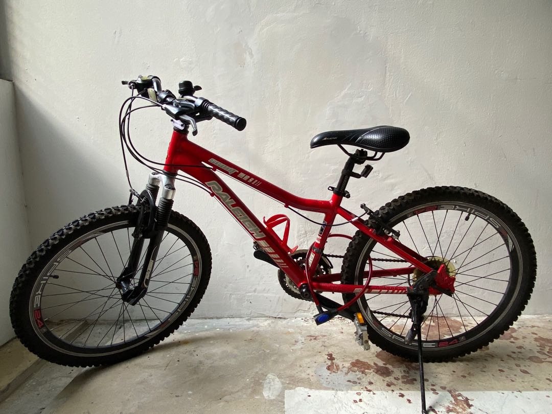 Raleigh sale scout 24