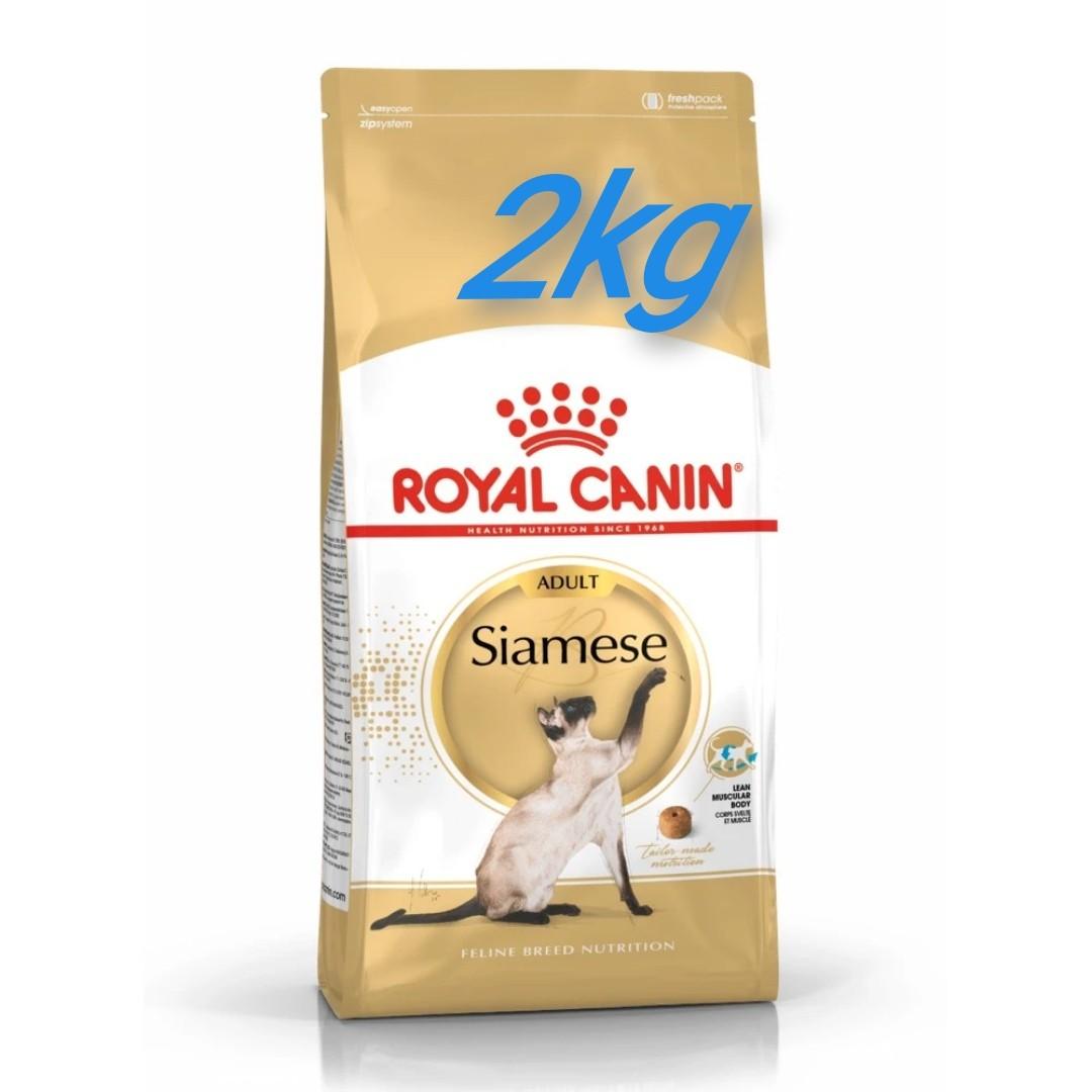 royal canin siamese
