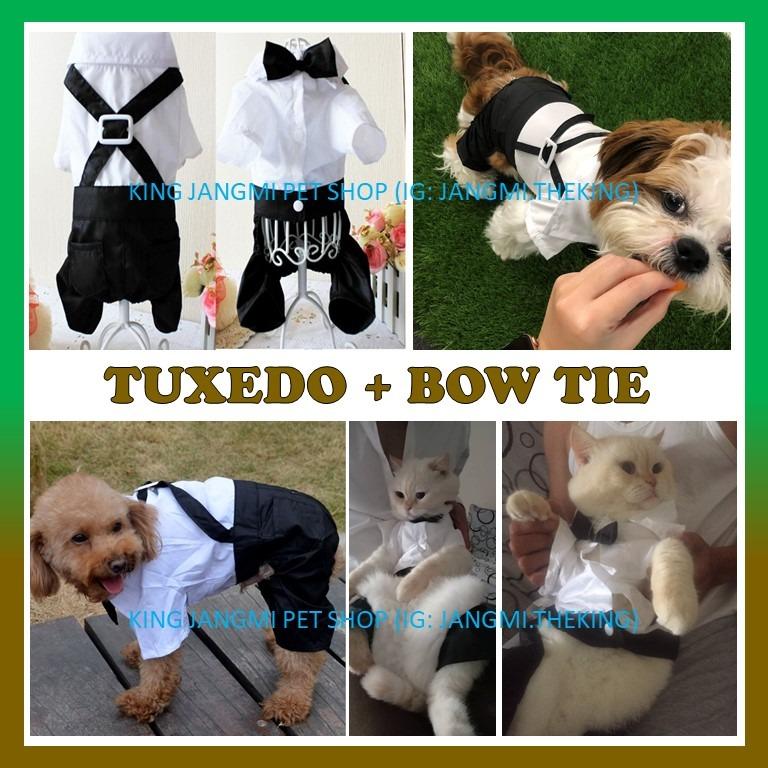 Tuxedo Suit tie suspenders Dog Cat clothes fashion - kucing baju 