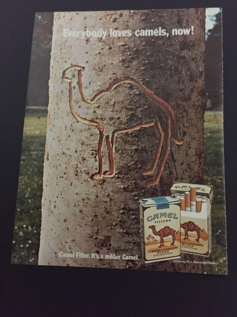 Vintage 1974 Camel Cigarette Ad Advert Collectible Antiques Vintage Collectibles On Carousell