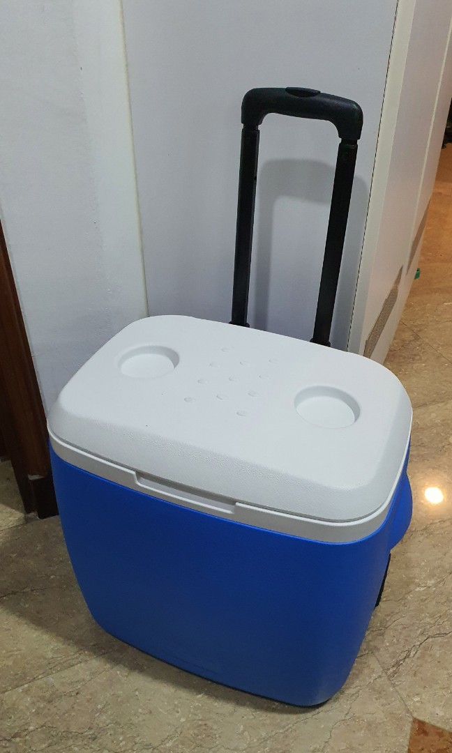 Big Cooler Box with Wheels (28 litres), Furniture & Home Living, Kitchenware & Tableware, Food