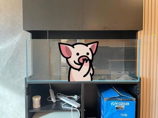 （分類：）位於 。 由 brussels_lo 提交（商品編號 1093366832，圖片 1）。簡介： 。