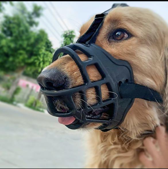 dog mouth guard to stop barking