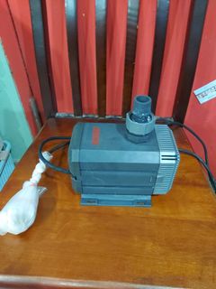 (Category: ) located in . Submitted by koko1207 (Listing ID 1093378726, Image 1). Description: .