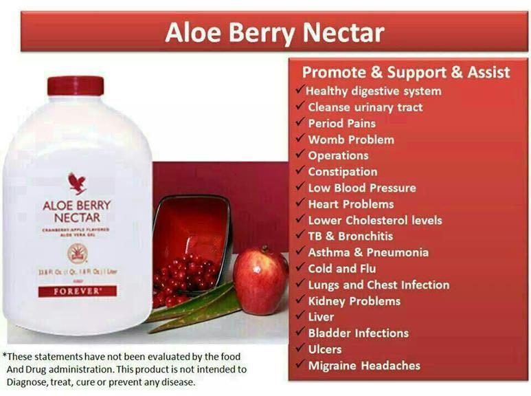 Forever Living Aloe Vera Gel Berry Nectar Peaches Food Drinks Other Food Drinks On Carousell