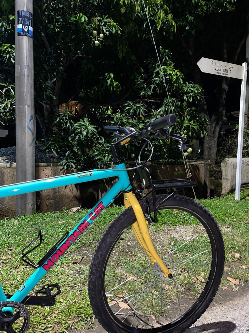 Cat frame deals basikal