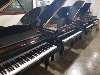 New Arrival Yamaha Grand Piano ✨✨