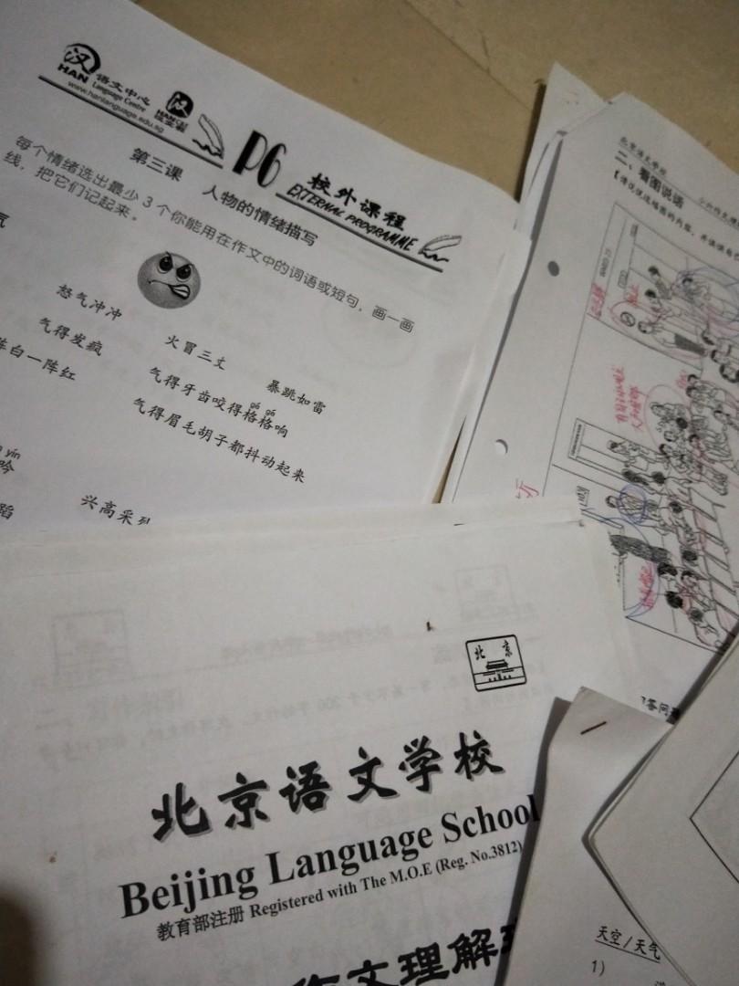 P6 PSLE Chinese Oral & Creative Writing notes, Hobbies & Toys, Books ...