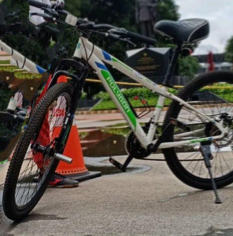 Polygon junior 26 discount