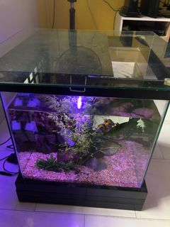 (Category: ) located in . Submitted by puajasvan2774 (Listing ID 1093472499, Image 1). Description: .