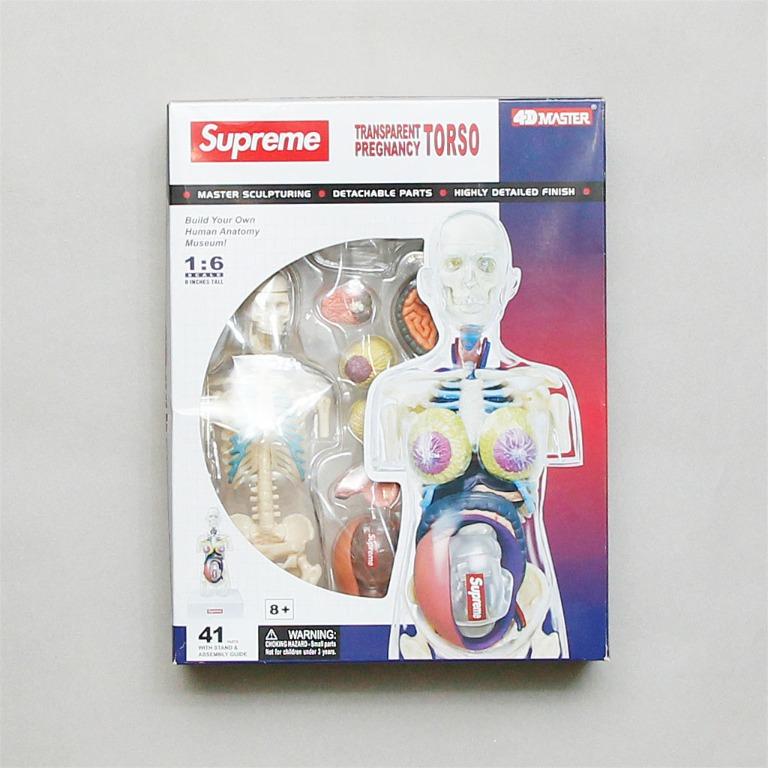 【工工】4D MASTER x SUPREME Human Anatomy - Women 全透明人體解剖模型 聯名款
