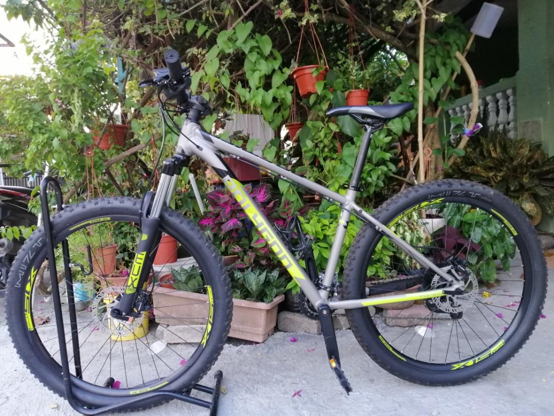 Polygon premier hot sale 5 29er