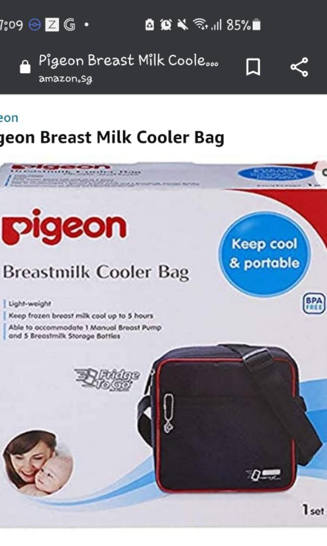 Pigeon Breastmilk Cooler Bag