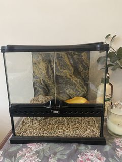 (Category: ) located in . Submitted by mstufftogo (Listing ID 1093502918, Image 1). Description: .