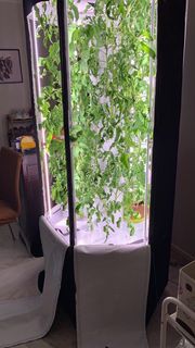 (Category: ) located in . Submitted by wenniq (Listing ID 1093483471, Image 1). Description: .