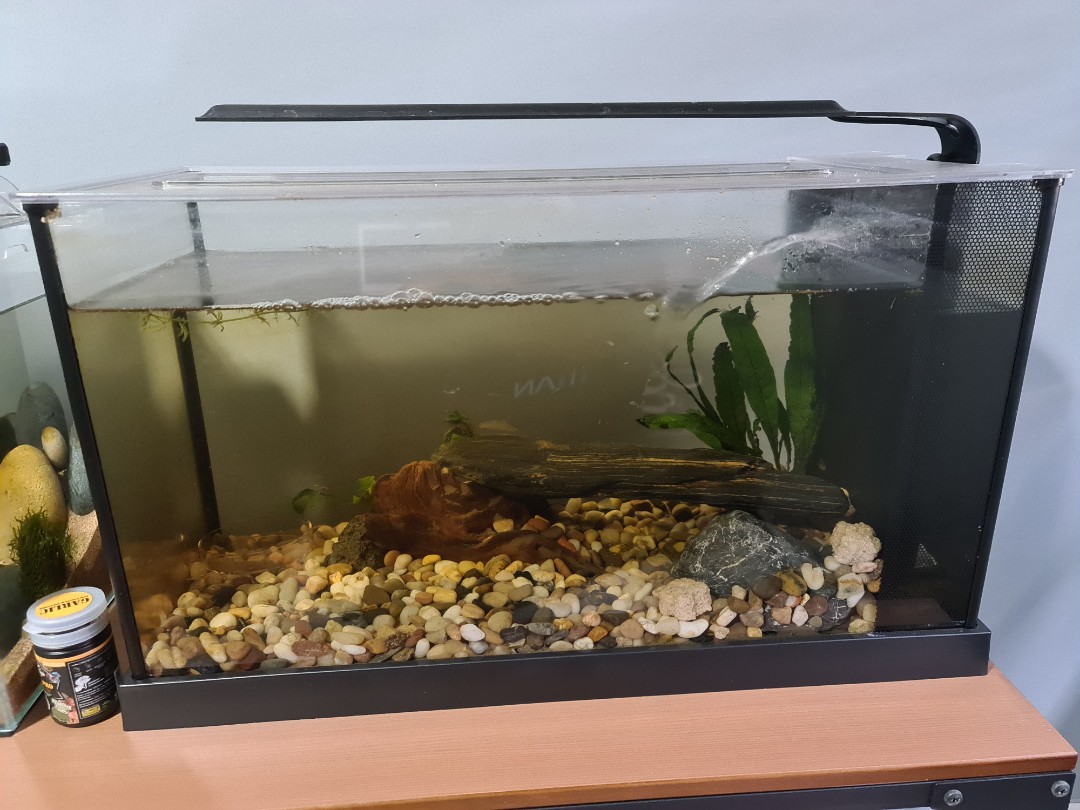 aio fish tank