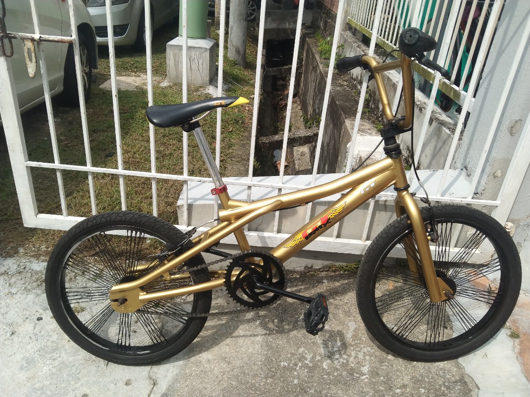 gt custom bmx