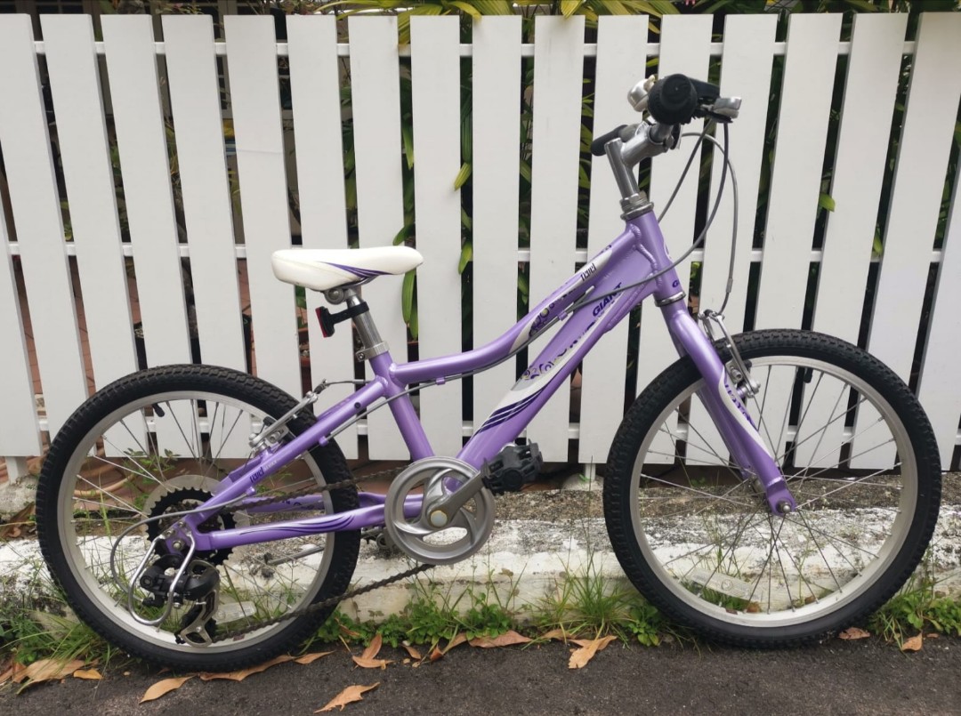 Giant revel sale 20 inch bike