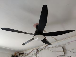 (Category: ) located in . Submitted by czg_90 (Listing ID 1093780450, Image 1). Description: .