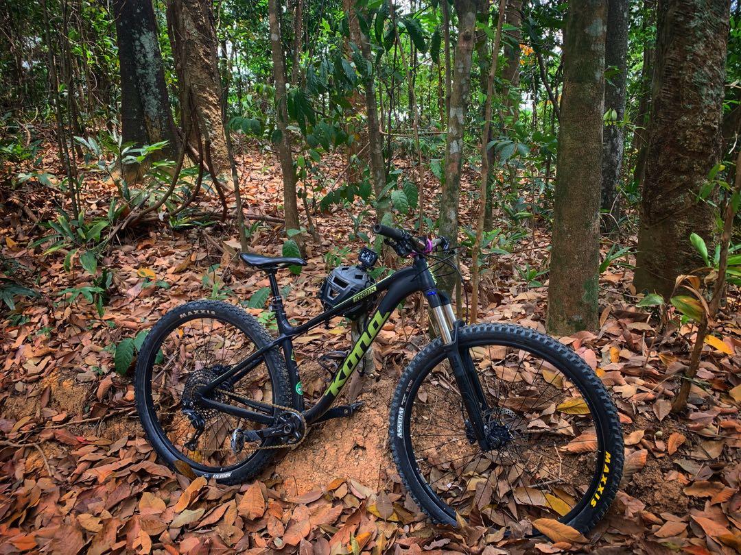 Kona honzo 29er hotsell hardtail