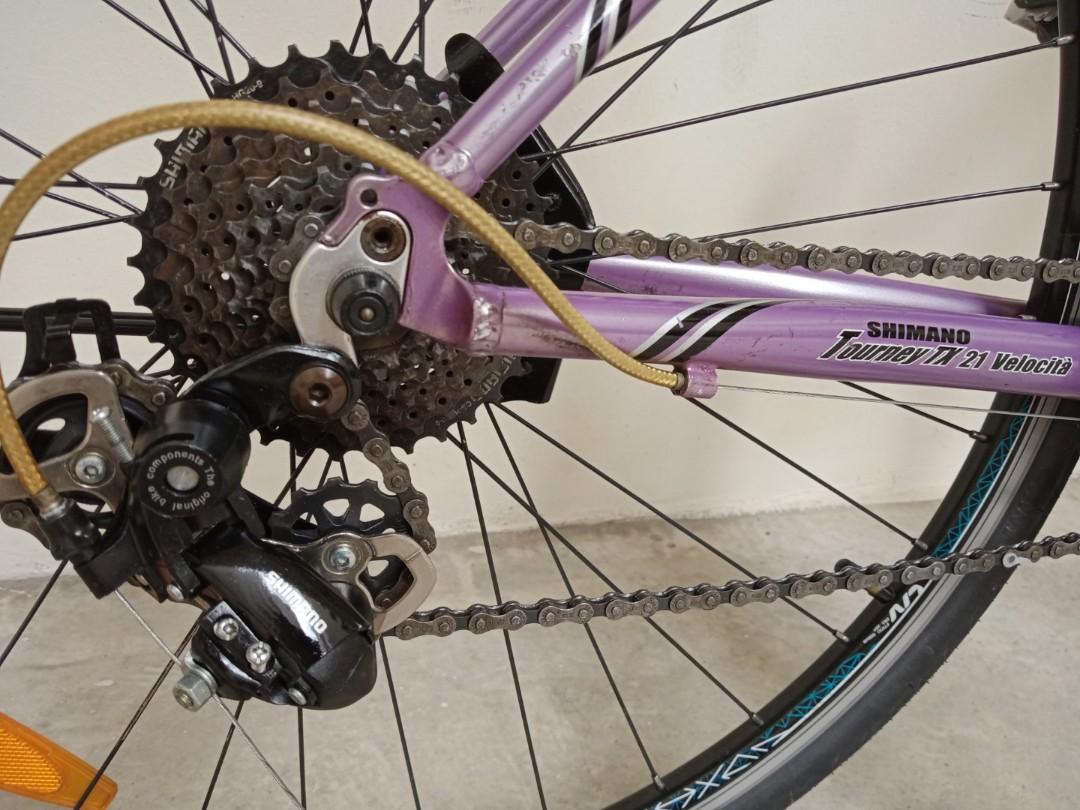 Lamborghini Rapido hybrid road bike 