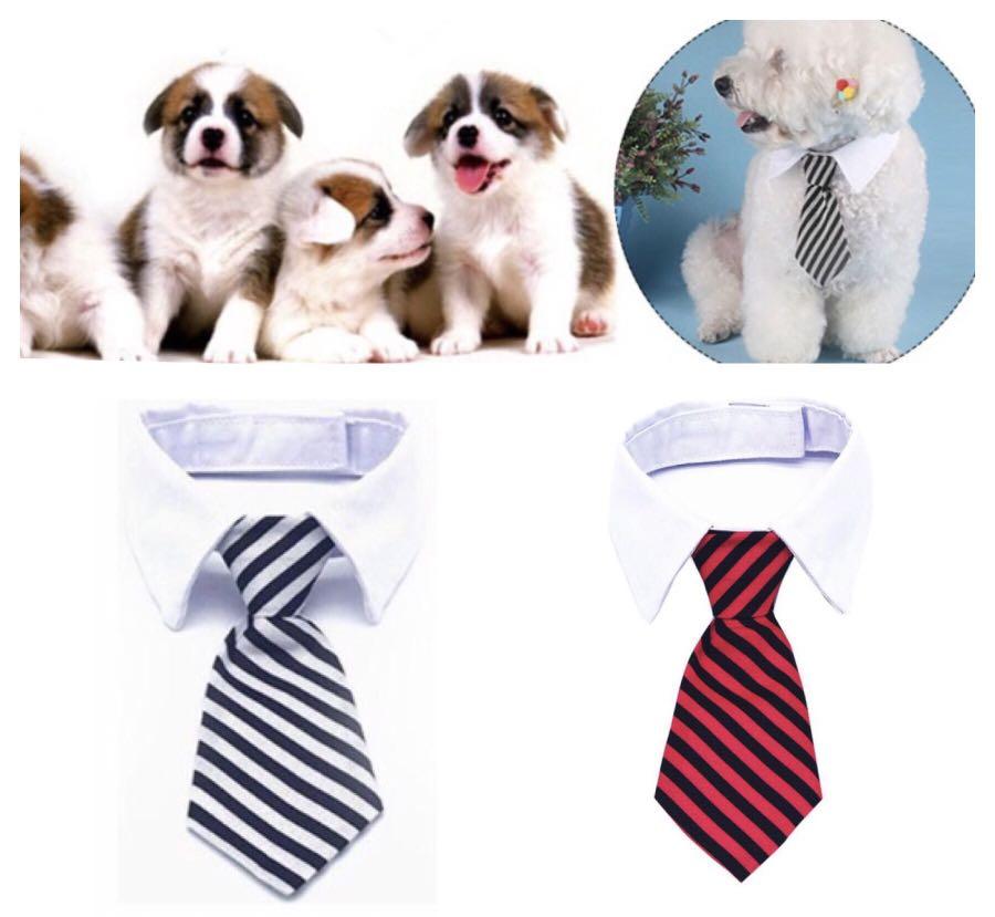 Pet dog cat formal cool cute necktie