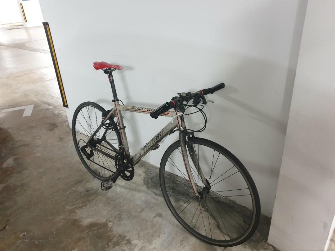 Aleoca road sale bike