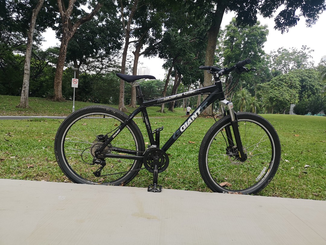 Giant shop iguana bike