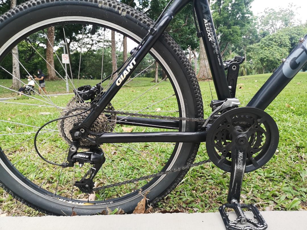 Giant iguana precio 2025
