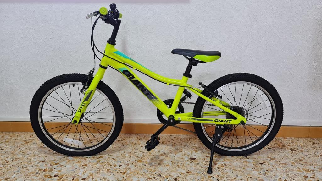 giant 20 inch mountain bike