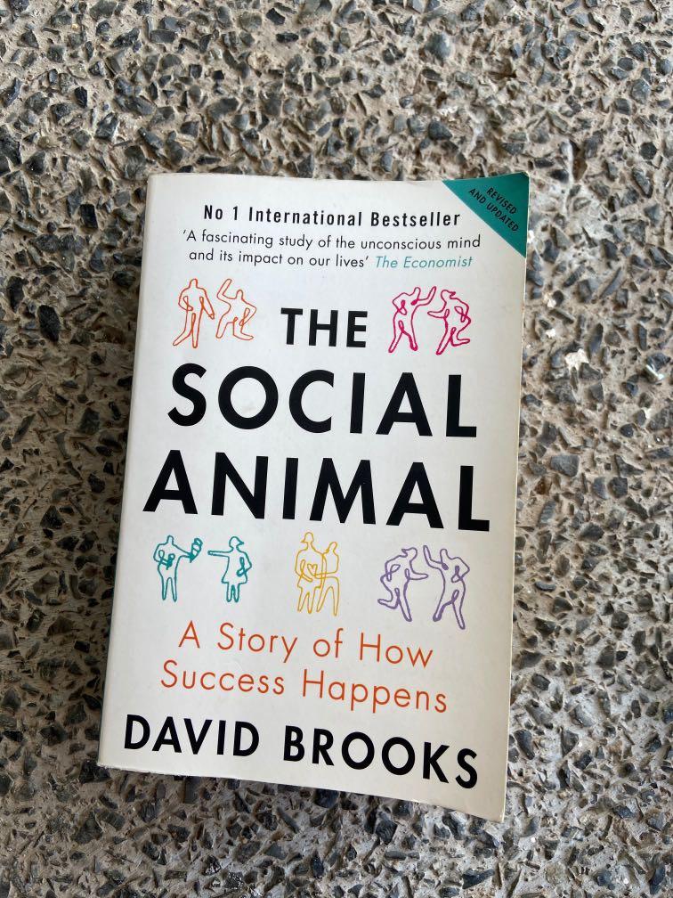 Book : the social animal - David brooks, Hobbies & Toys, Books & Magazines,  Fiction & Non-Fiction on Carousell