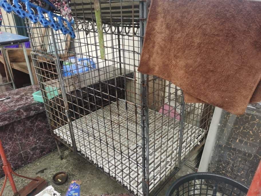DOG Cage for SALE, Pet Supplies, Homes & Other Pet Accessories on Carousell