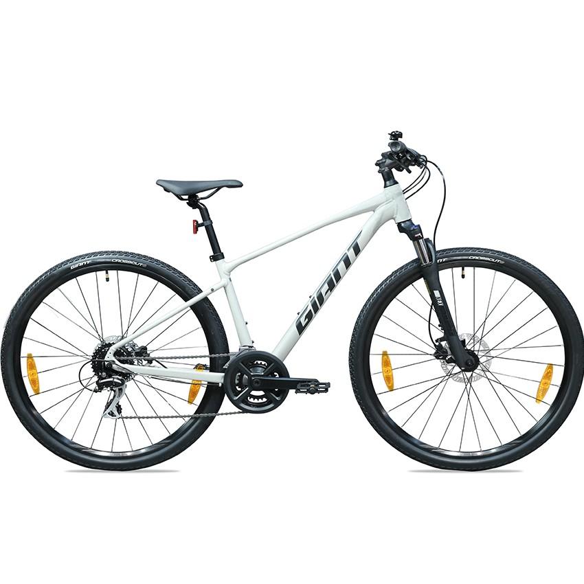 roam 3 disc giant