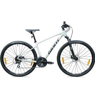 2019 giant roam 1