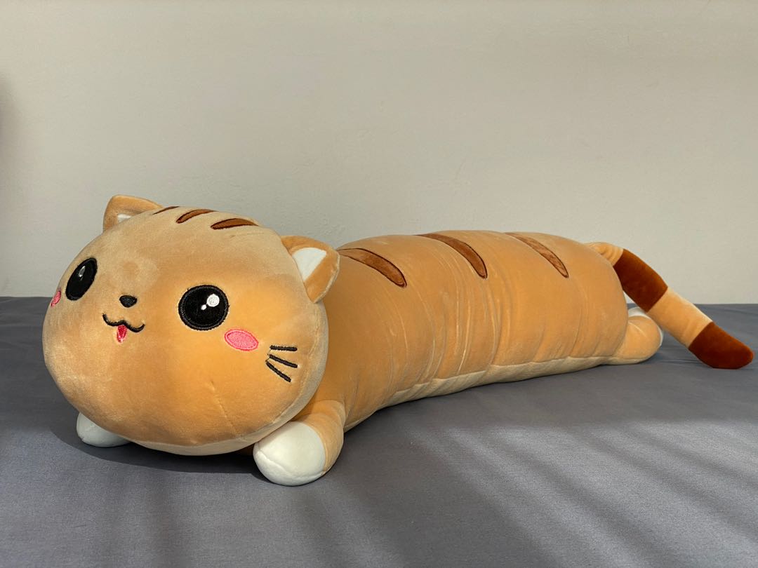 long cat toy