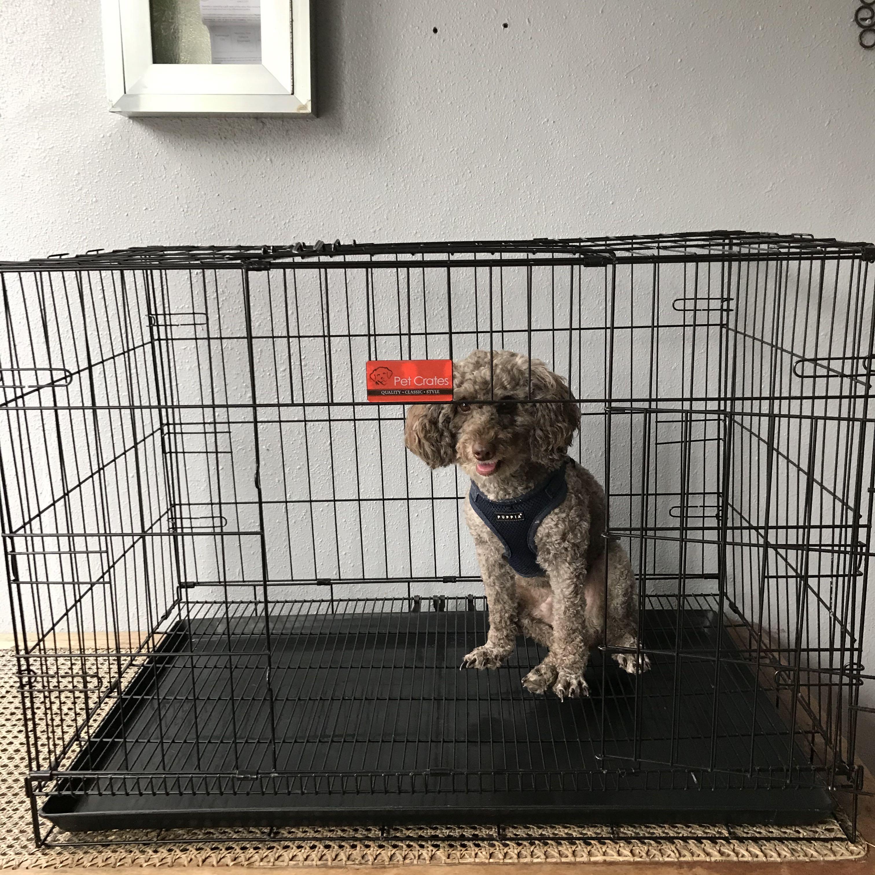 Collapsible pet cage new arrivals