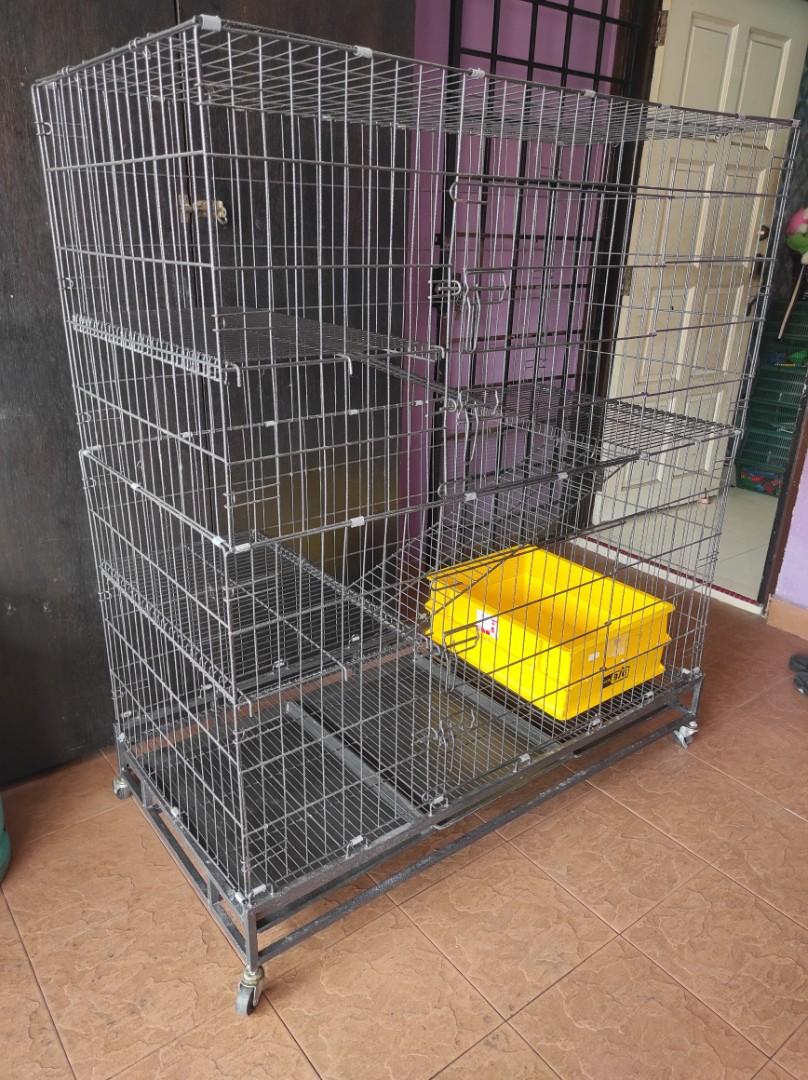 Sangkar Kucing XXL, Pet Supplies, Pet Accessories on Carousell