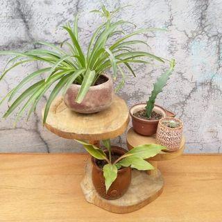 Wooden Plant Stand/ Wooden Cake Stand