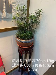 （分類：）位於 。 由 himho 提交（商品編號 1094271791，圖片 1）。簡介： 。