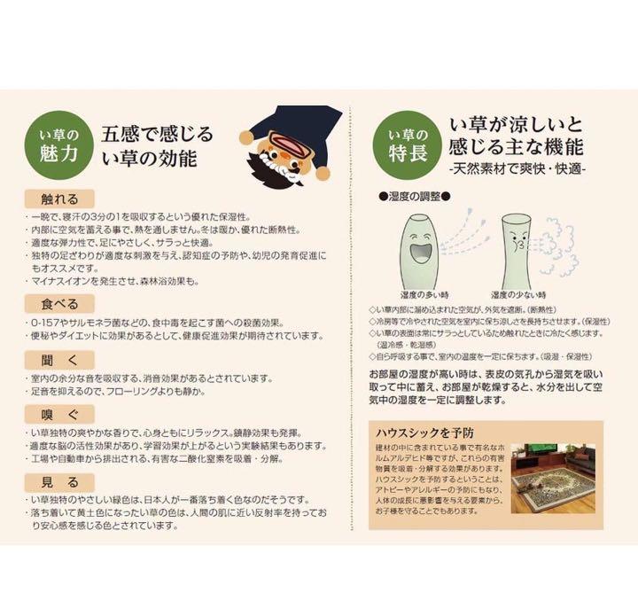 日本製大島屋燈芯草秋草坐墊 款式如圖 傢俬 家居 家居裝飾 地氊 Carousell