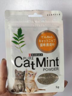 Catnip seed, Pet Supplies, Pet Accessories on Carousell