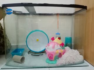 (Category: ) located in . Submitted by lyyee3143 (Listing ID 1094332256, Image 1). Description: .